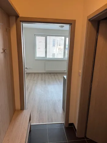 Pronájem bytu 1+kk, Brno, Vranovská, 26 m2