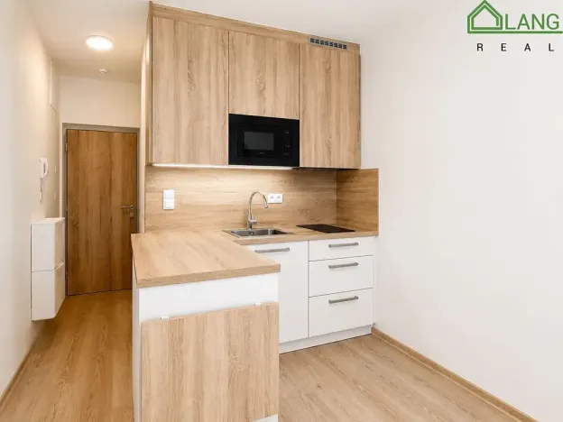 Pronájem bytu 1+kk, Brno, Francouzská, 17 m2