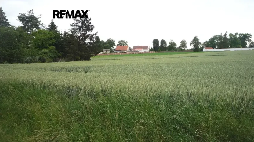 Prodej pozemku pro bydlení, Hořesedly, 985 m2