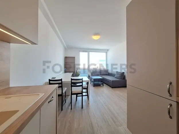 Pronájem bytu 2+kk, Olomouc, Litovelská, 54 m2