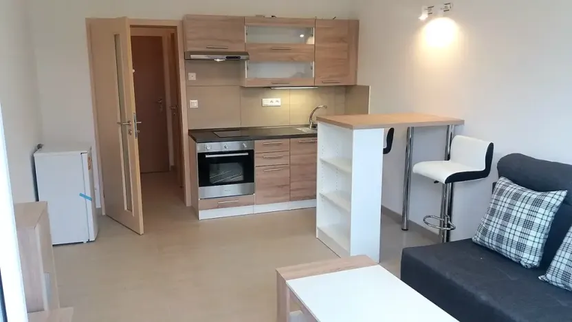Pronájem bytu 1+kk, Brno, Hostinského, 28 m2