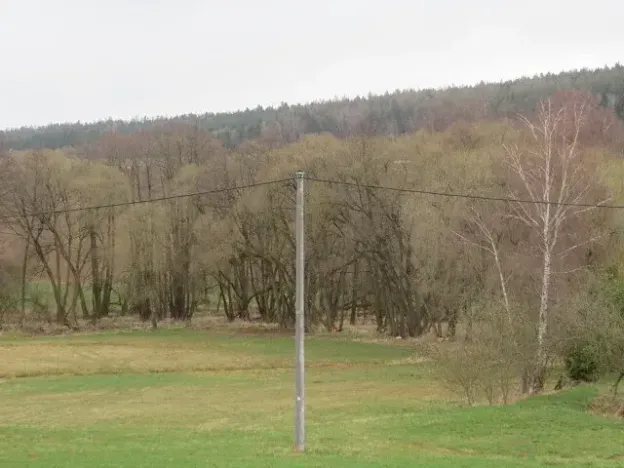 Dražba lesa, Ješetice, 8991 m2