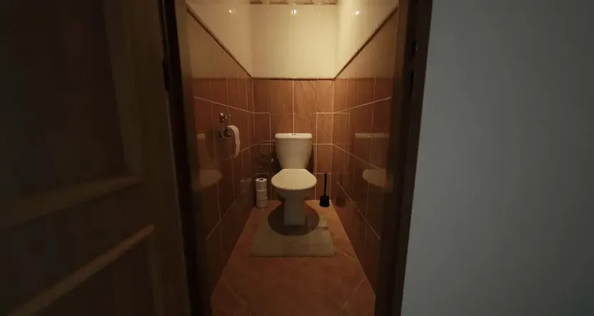 Prodej bytu 4+1, Praha - Žižkov, Pod lipami, 84 m2