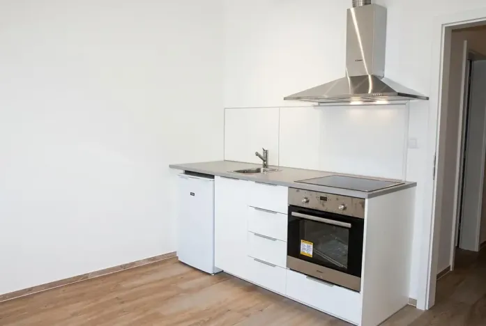 Pronájem bytu 1+kk, Brno, Zaječí hora, 29 m2
