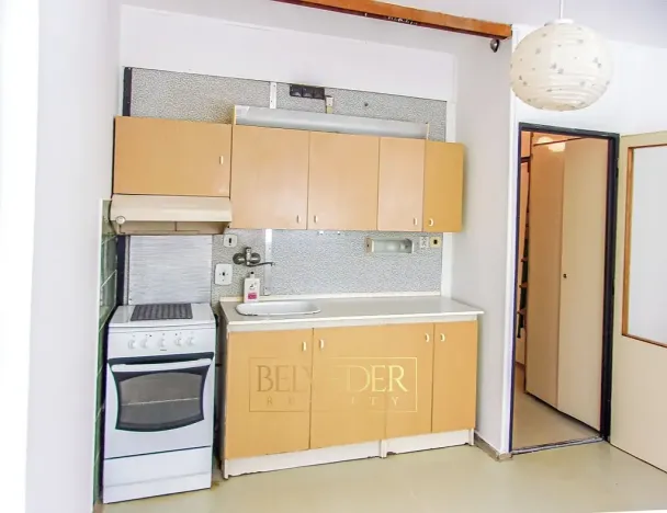 Prodej bytu 1+1, Ústí nad Labem, Družstevní, 37 m2