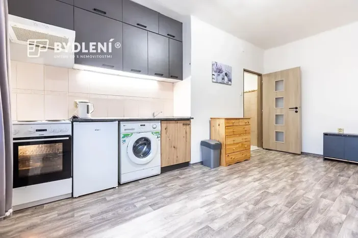 Pronájem bytu 1+kk, Teplice, Duchcovská, 19 m2