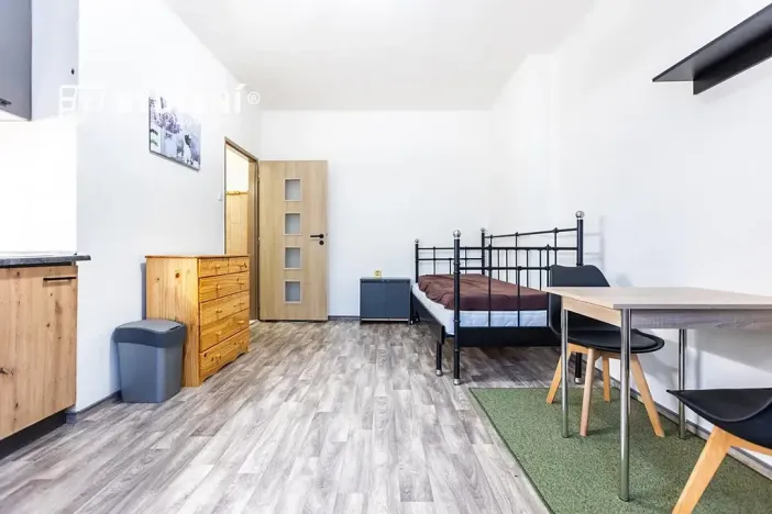 Pronájem bytu 1+kk, Teplice, Duchcovská, 19 m2