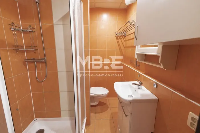 Pronájem bytu 2+1, Orlová - Lutyně, F. S. Tůmy, 44 m2