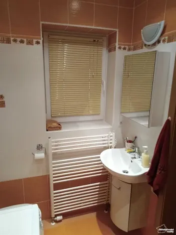 Pronájem bytu 2+kk, Železná Ruda, 37 m2