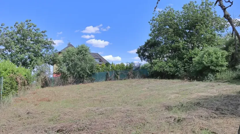 Prodej pozemku pro bydlení, Lešany, 2358 m2