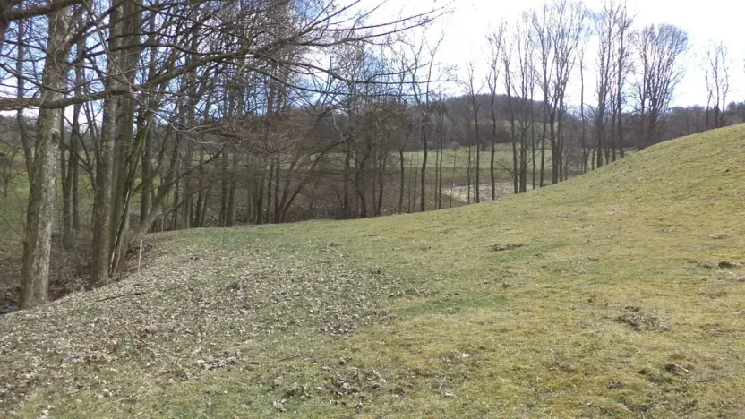 Prodej pole, Heřmanov - Fojtovice, 4633 m2