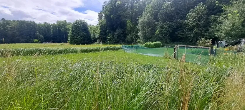 Pronájem zahrady, Tišice, 1000 m2