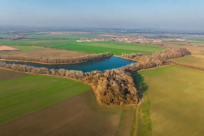 Prodej sadu/vinice, Troskotovice, 243931 m2