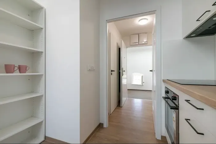 Pronájem bytu 1+kk, Brno, Poštovská, 36 m2