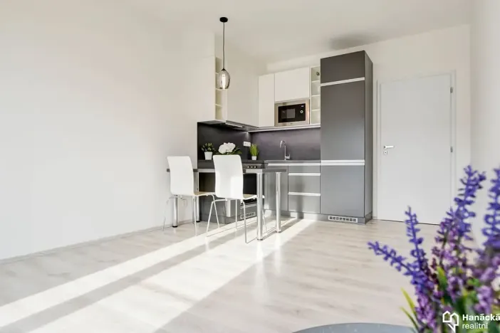 Pronájem bytu 1+kk, Olomouc, Věry Pánkové, 33 m2