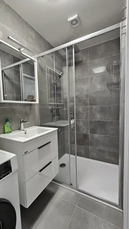 Pronájem bytu 2+1, Brno, Cejl, 53 m2