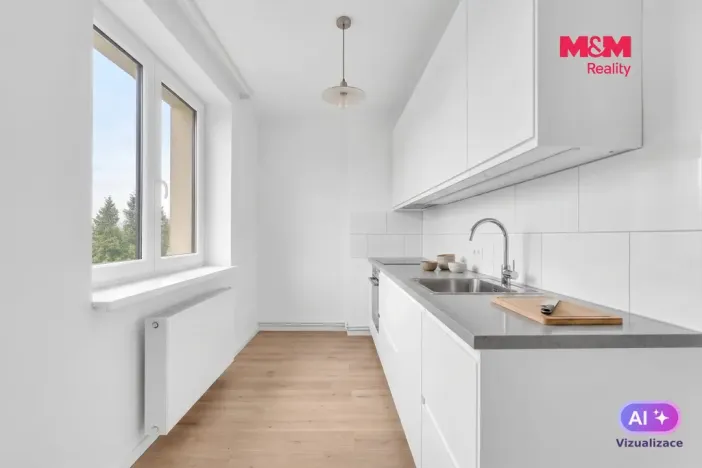 Prodej bytu 3+1, Vysoké Mýto - Pražské Předměstí, Rašínova, 62 m2