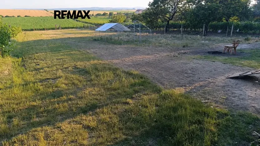 Pronájem sadu/vinice, Bořetice, 1092 m2