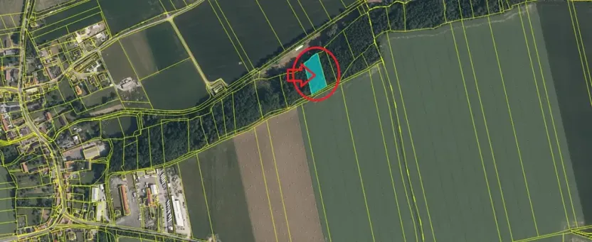 Prodej podílu lesa, Dolany, 2292 m2