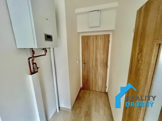Pronájem bytu 1+1, Děčín, Vilsnická, 42 m2