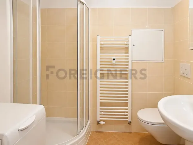 Pronájem bytu 1+kk, Praha - Záběhlice, Ve slatinách, 34 m2