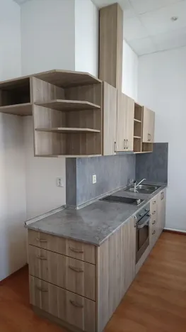 Pronájem bytu 5+1, Brno, Masarykova, 140 m2