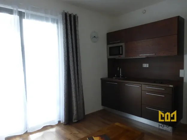 Pronájem bytu 1+kk, Praha - Žižkov, Hartigova, 22 m2