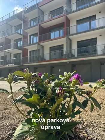 Pronájem bytu 1+kk, Jablonec nad Nisou, Za Jízdárnou, 42 m2