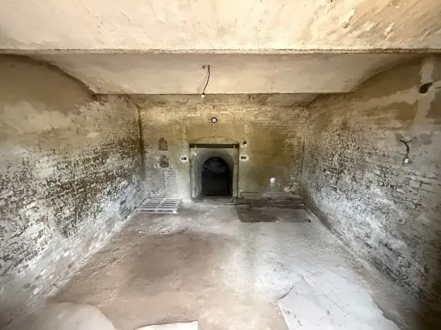 Prodej vinného sklepa, Novosedly, 136 m2