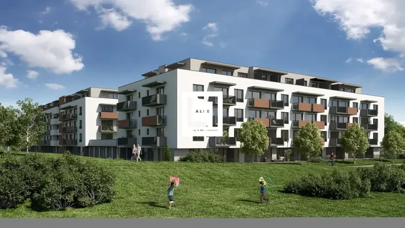 Pronájem bytu 1+kk, Olomouc, Aloise Rašína, 31 m2