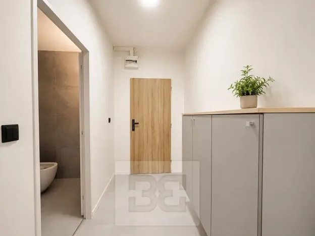Pronájem bytu 2+kk, Brno, třída Generála Píky, 50 m2