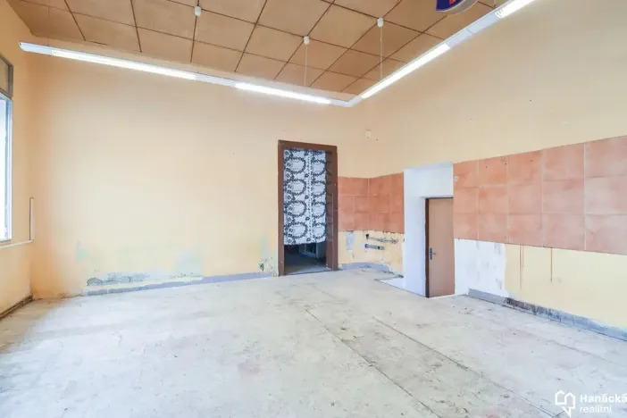 Prodej obchodního prostoru, Olomouc, Resslova, 77 m2