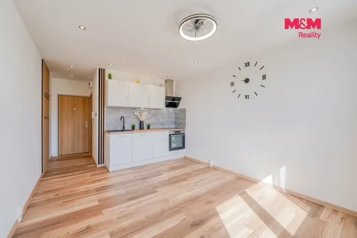 Prodej bytu 1+kk, Horní Bříza, U Vrbky, 22 m2