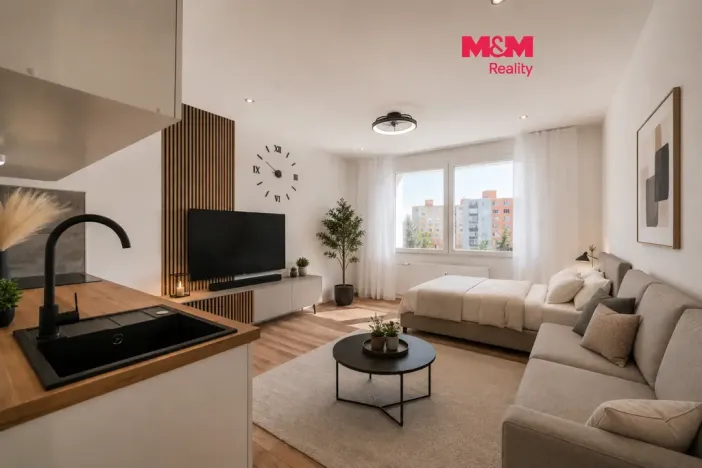 Prodej bytu 1+kk, Horní Bříza, U Vrbky, 22 m2