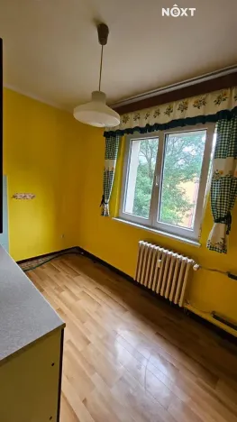 Prodej bytu 2+1, Karviná, V Aleji, 55 m2
