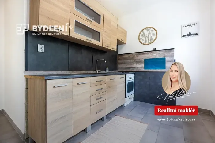 Prodej bytu 2+1, Litvínov, Podkrušnohorská, 56 m2