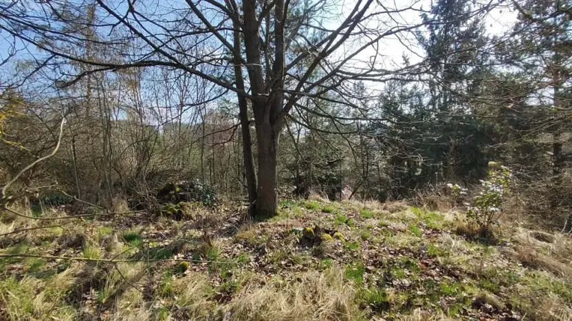 Prodej chalupy, Jickovice, 70 m2