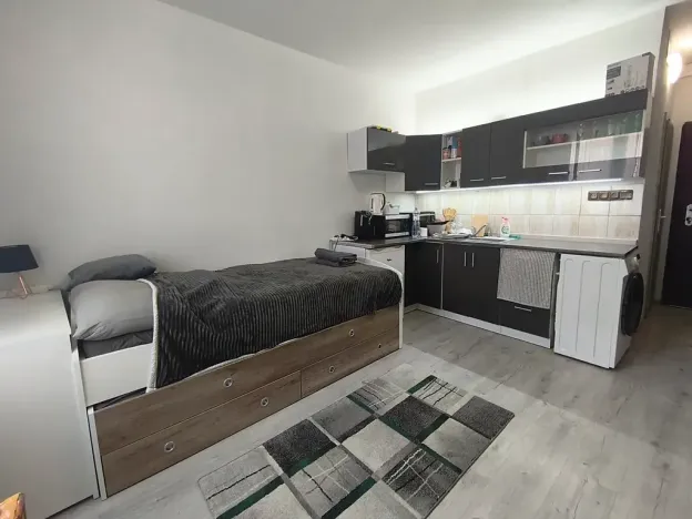 Prodej bytu 1+kk, Ústí nad Labem, Ladova, 21 m2
