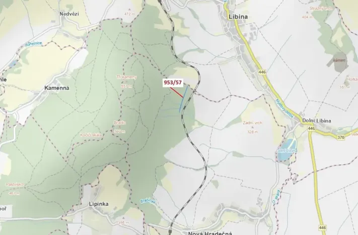 Dražba lesa, Nová Hradečná, 6750 m2