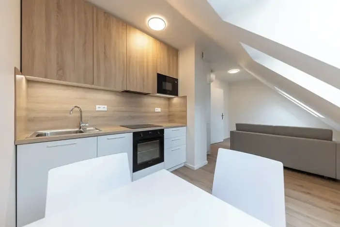 Pronájem bytu 1+kk, Praha - Bubeneč, Veletržní, 30 m2