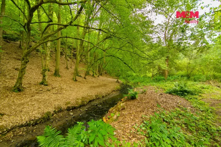Prodej chaty, Úlice - Hracholusky, 20 m2