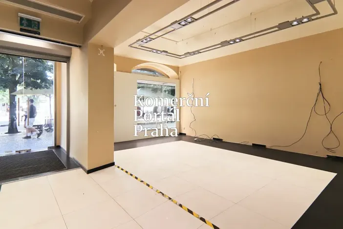 Pronájem obchodního prostoru, Praha - Nové Město, Václavské náměstí, 309 m2