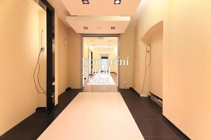 Pronájem obchodního prostoru, Praha - Nové Město, Václavské náměstí, 309 m2