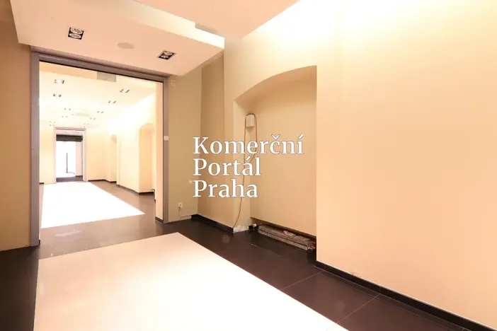 Pronájem obchodního prostoru, Praha - Nové Město, Václavské náměstí, 309 m2