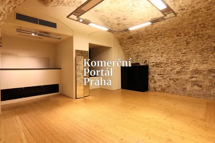 Pronájem obchodního prostoru, Praha - Nové Město, Václavské náměstí, 309 m2