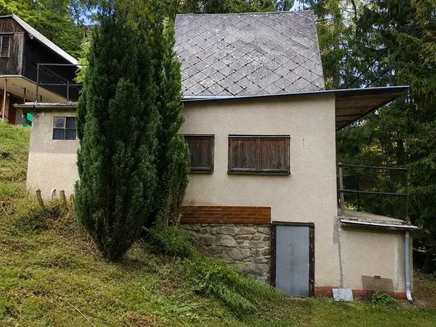 Prodej - jiné, Olšany, 40 m2