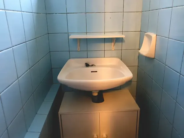 Prodej - jiné, Olšany, 40 m2