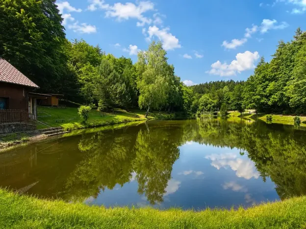 Prodej - jiné, Olšany, 40 m2