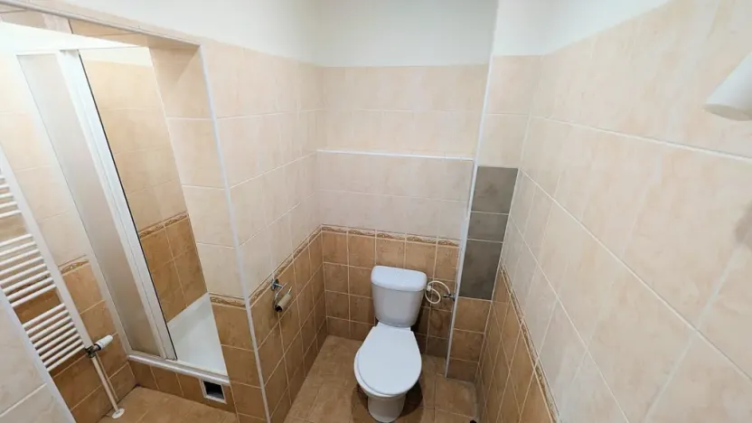 Pronájem bytu 3+kk, Peruc, U Koupaliště, 68 m2