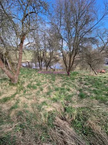 Prodej pozemku pro bydlení, Šluknov, 991 m2